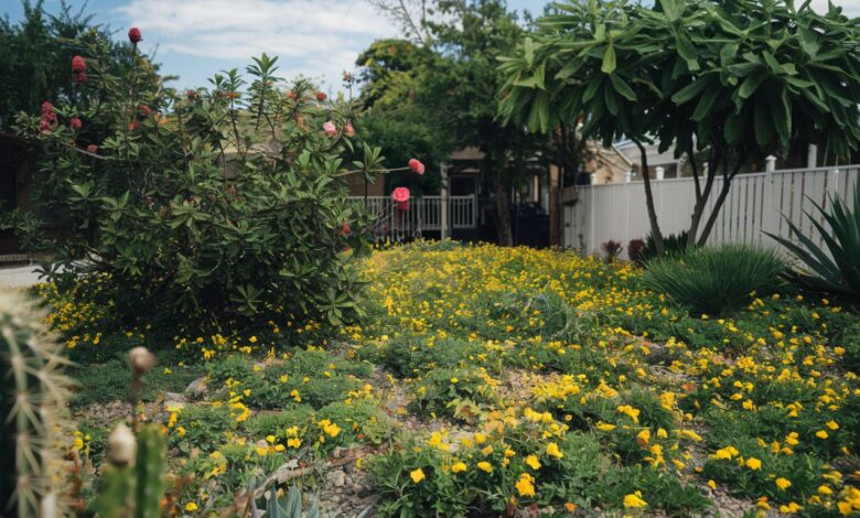 Why Small Yellow Flowers Are the Secret to a Happier, Healthier Yard