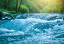 Unlocking the Secrets of Oracle River: What You Need to Know