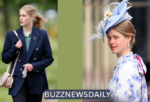 Felix da Silva Clamp